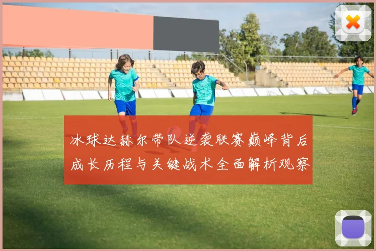 冰球达赫尔带队逆袭联赛巅峰背后成长历程与关键战术全面解析观察记